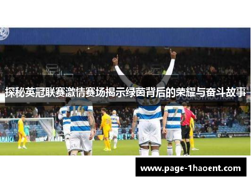 探秘英冠联赛激情赛场揭示绿茵背后的荣耀与奋斗故事