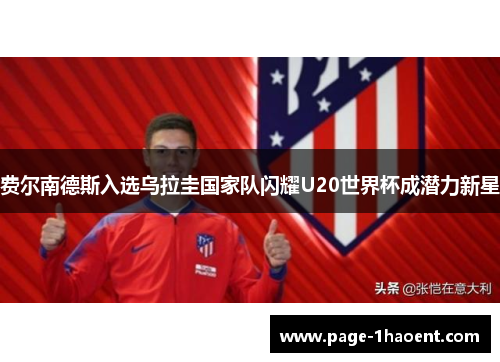 费尔南德斯入选乌拉圭国家队闪耀U20世界杯成潜力新星
